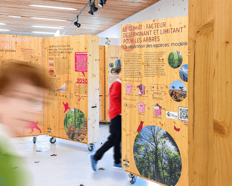 The forests of the Grand Est facing the challenge of climate change