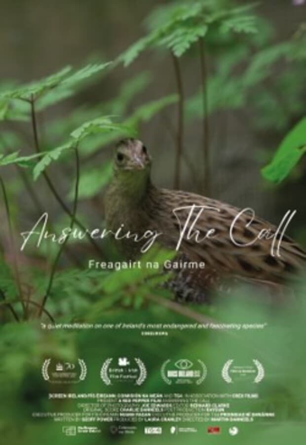 Freagairt na Gairme (Answering the Call) - (BIFFL)