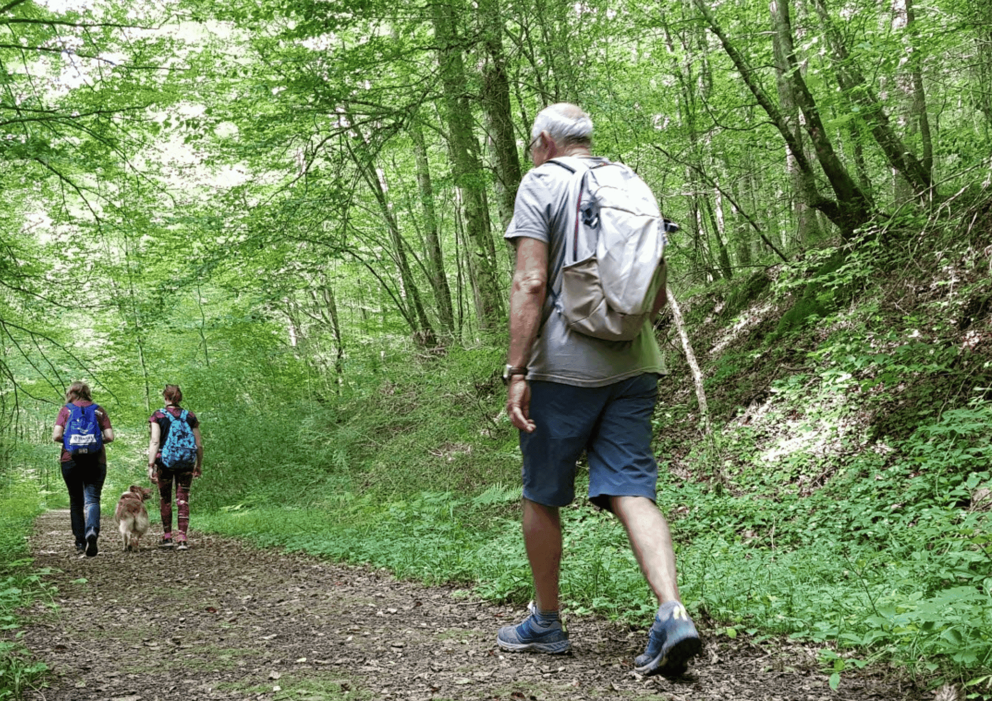Nature walk