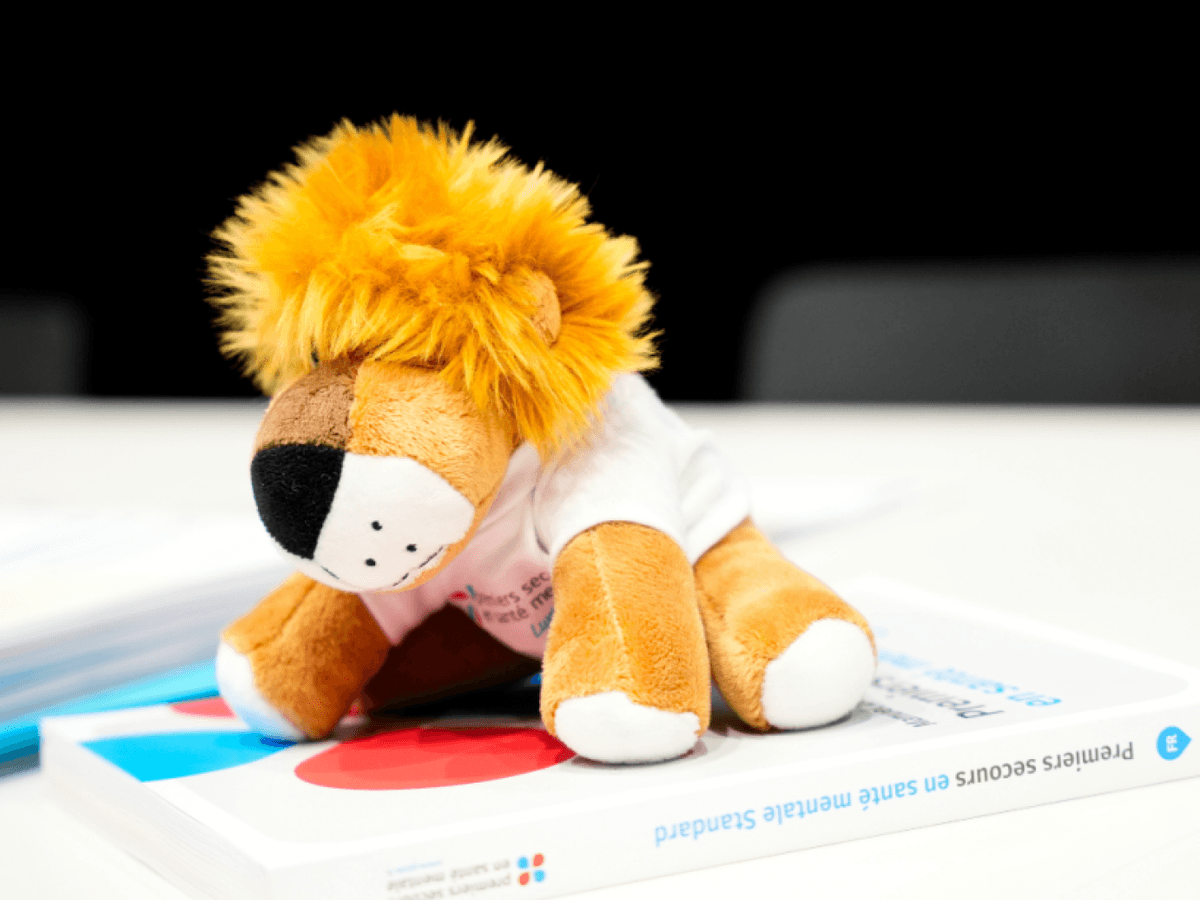 Cours de premiers secours en santé mentale pour adolescents en langue luxembourgeoise