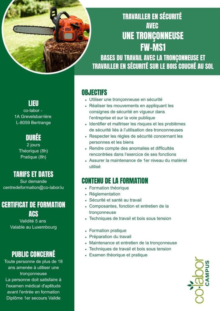 Formation FW-MS1 tronçonneuse