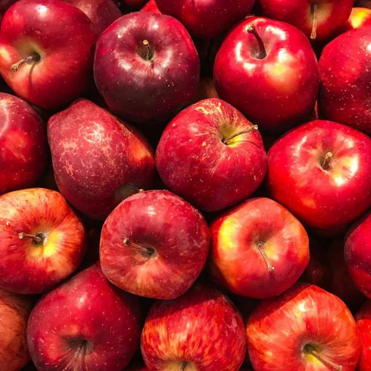 Marché de la Pomme à Apach