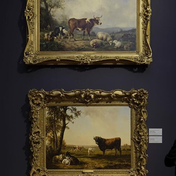 Visite guidée régulière: Une promenade à travers l'art