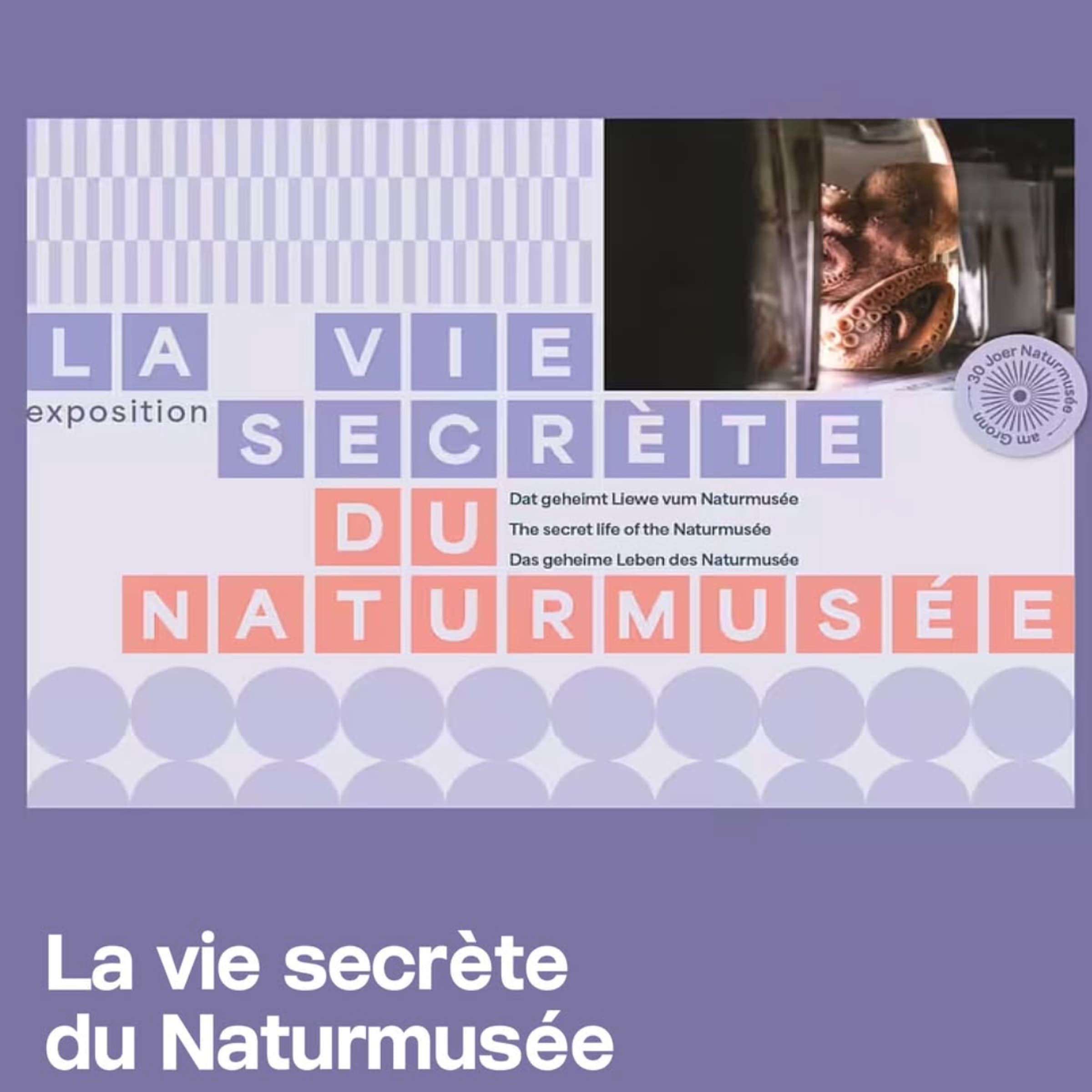 Museum Night 2026 - Naturmusée