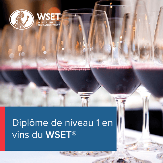 WSET Level 1 (FR)