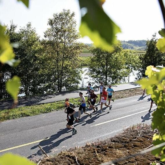 Semi-Marathon « Route du Vin »