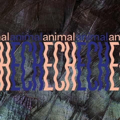 Guided Tours of the Exhibition "animalECH" [LU | FR | DE | EN]