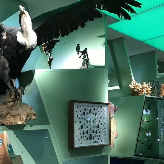 Guided tour of the permanent exhibition
