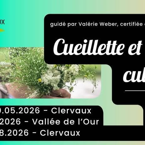 Clervaux Letz Breathe - Cueillette et atelier culinaire autour des plantes sauvages