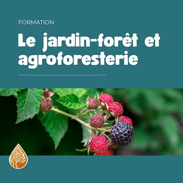 Forest Garden and Agroforestry