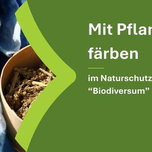 Teindre avec des plantes