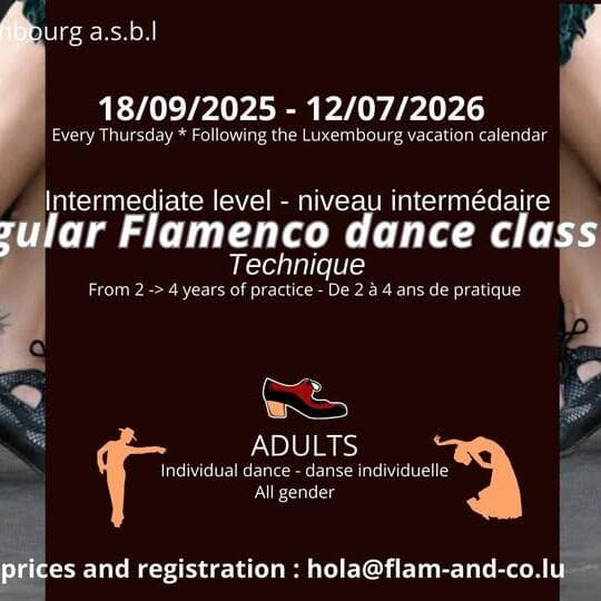 Flamenco pour adultes : INTERMEDIAIRE 2 : Technique