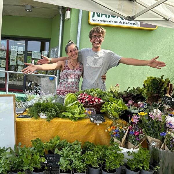 Marché de légumes – Kass-Haff (tous les vendredis)