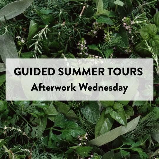 Discovering Wild Plants