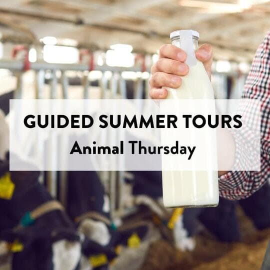 A farm adventure for the whole family in Everlange