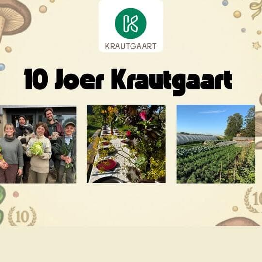 10 ans de Krautgaart