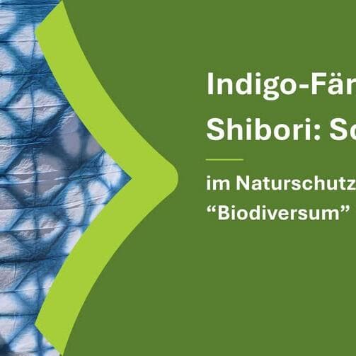 Teinture à l'indigo et Shibori : écharpe
