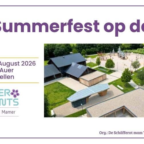 Summer Festival in Capellen