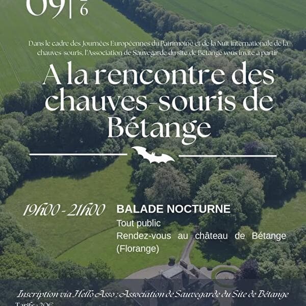 À la rencontre des chauves-souris de Bétange