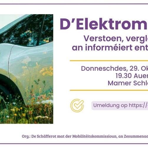 Conférence sur l’électromobilité – comprendre, comparer et décider en connaissance de cause
