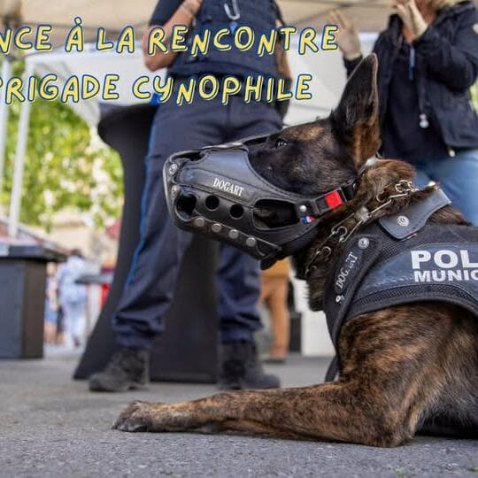 Conférence à la rencontre de la brigade cynophile