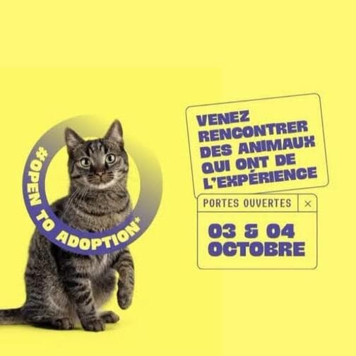 SPA Thionville Open Days