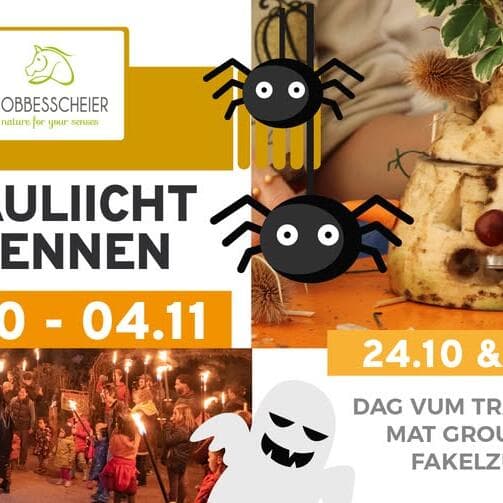 Trauliicht Weeks at the Robbesscheier