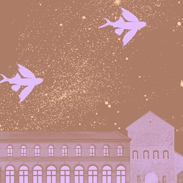 La Nuit à la Cité