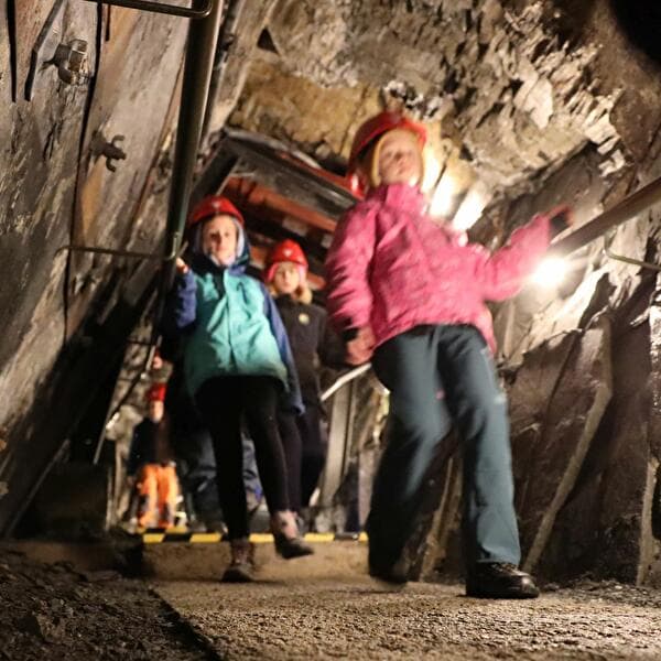 Kids at the Museum