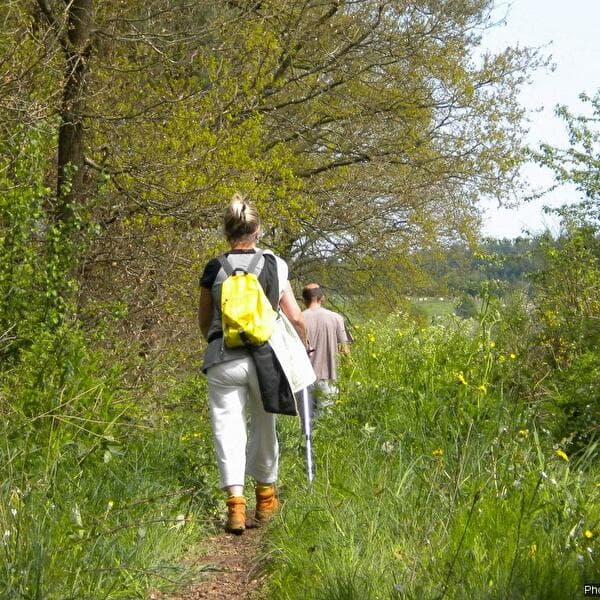 Chestrolaise walk