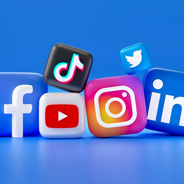 Atelier participatif : comprendre les réseaux sociaux