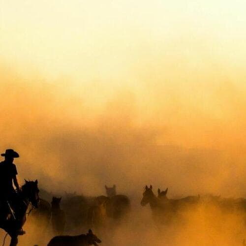 Tuffi - Atelier Junior (4-6), une journée dans le Far West