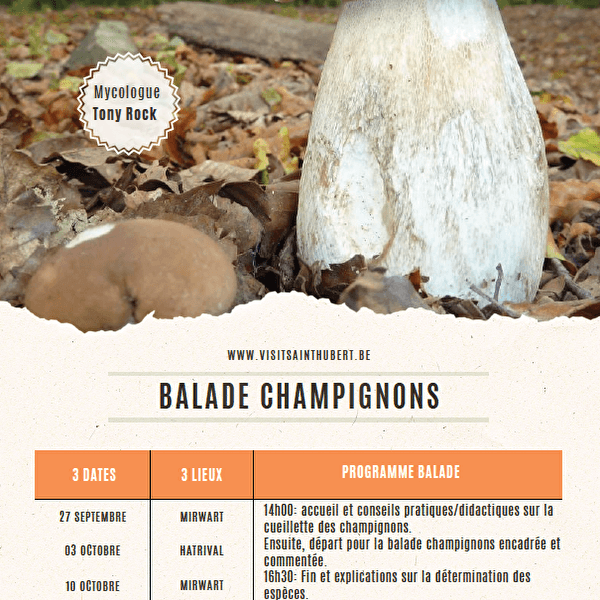 Mushroom walk