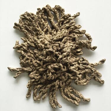 Letizia Romanini - Rust Regrowth
