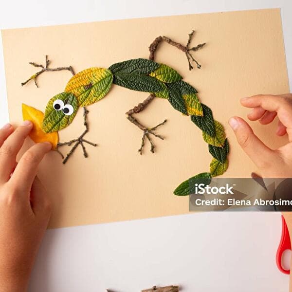 Nature Fun - Nature Artist