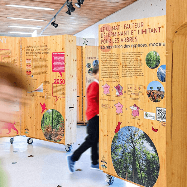 The forests of the Grand Est facing the challenge of climate change