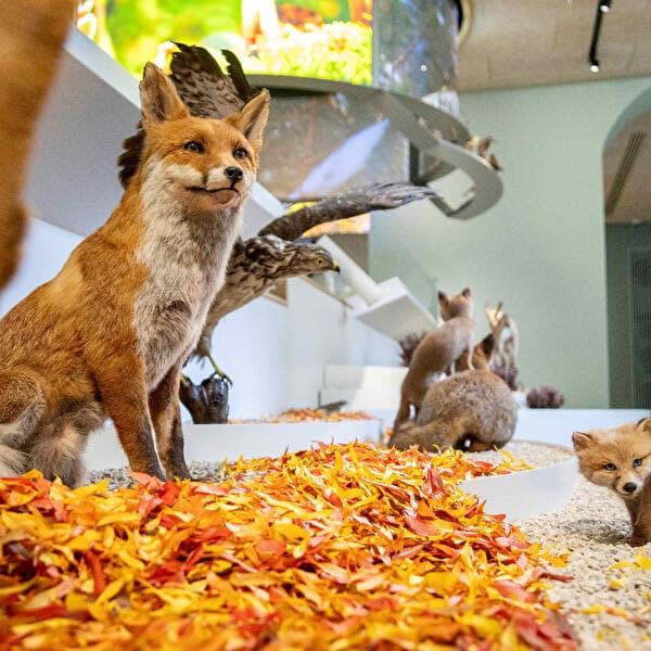 Visite familles La petite vadrouille au Pavillon