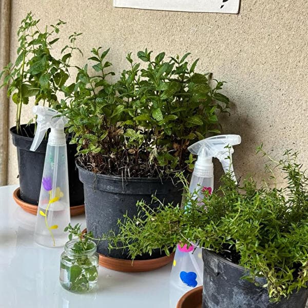 Atelier familles : prenez-en de la graine