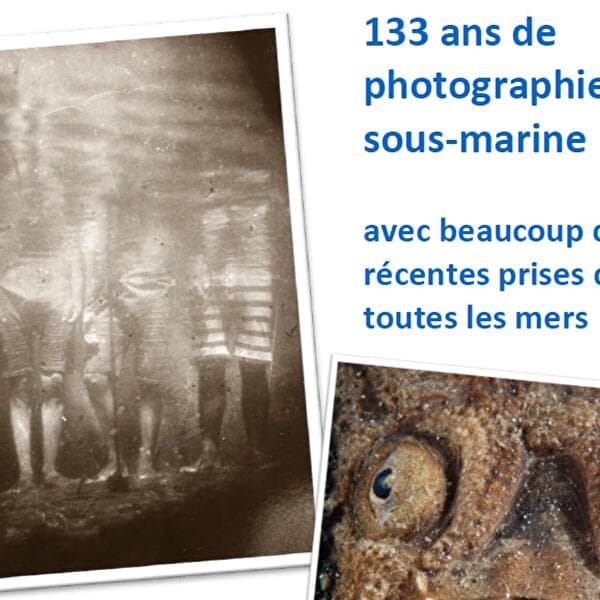 Conférence-projection : 133 ans de photographie sous-marine