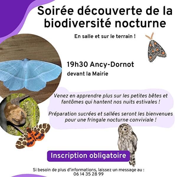 Soirée découverte de la biodiversité nocturne