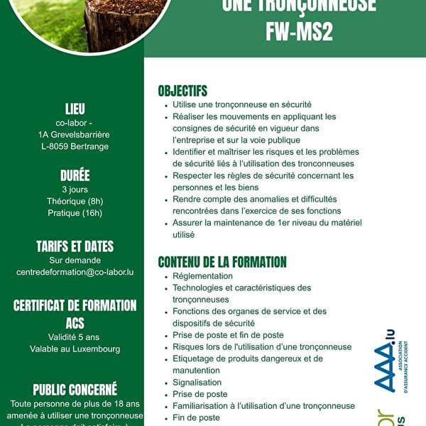 Formation tronçonneuse