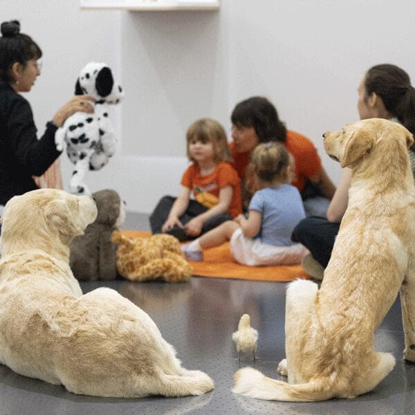 Visite doudou « Lun...di, mar...di, mercre...di, ... »
