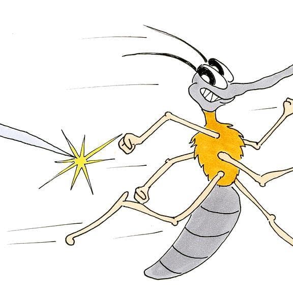 Insect collection (ages 9-10)