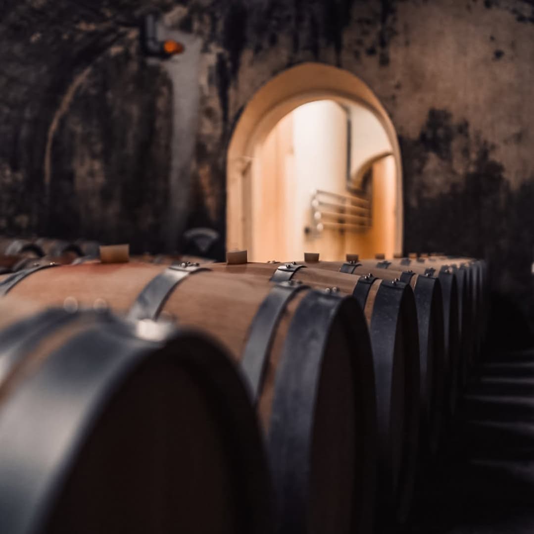 Domaines Vinsmoselle : visites, dégustations et caves au Luxembourg - 1