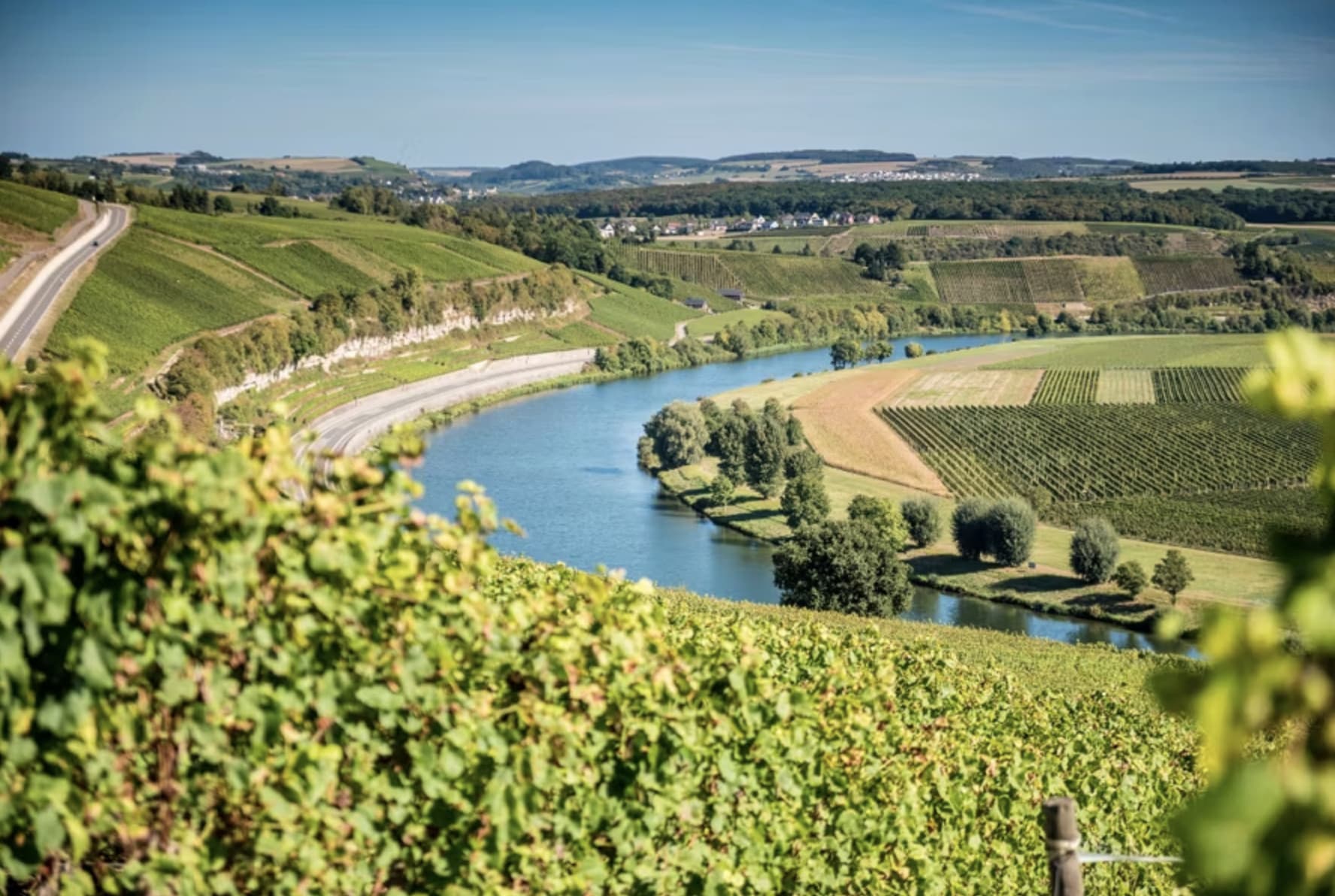 Parcours la route des vins à vélo - 2