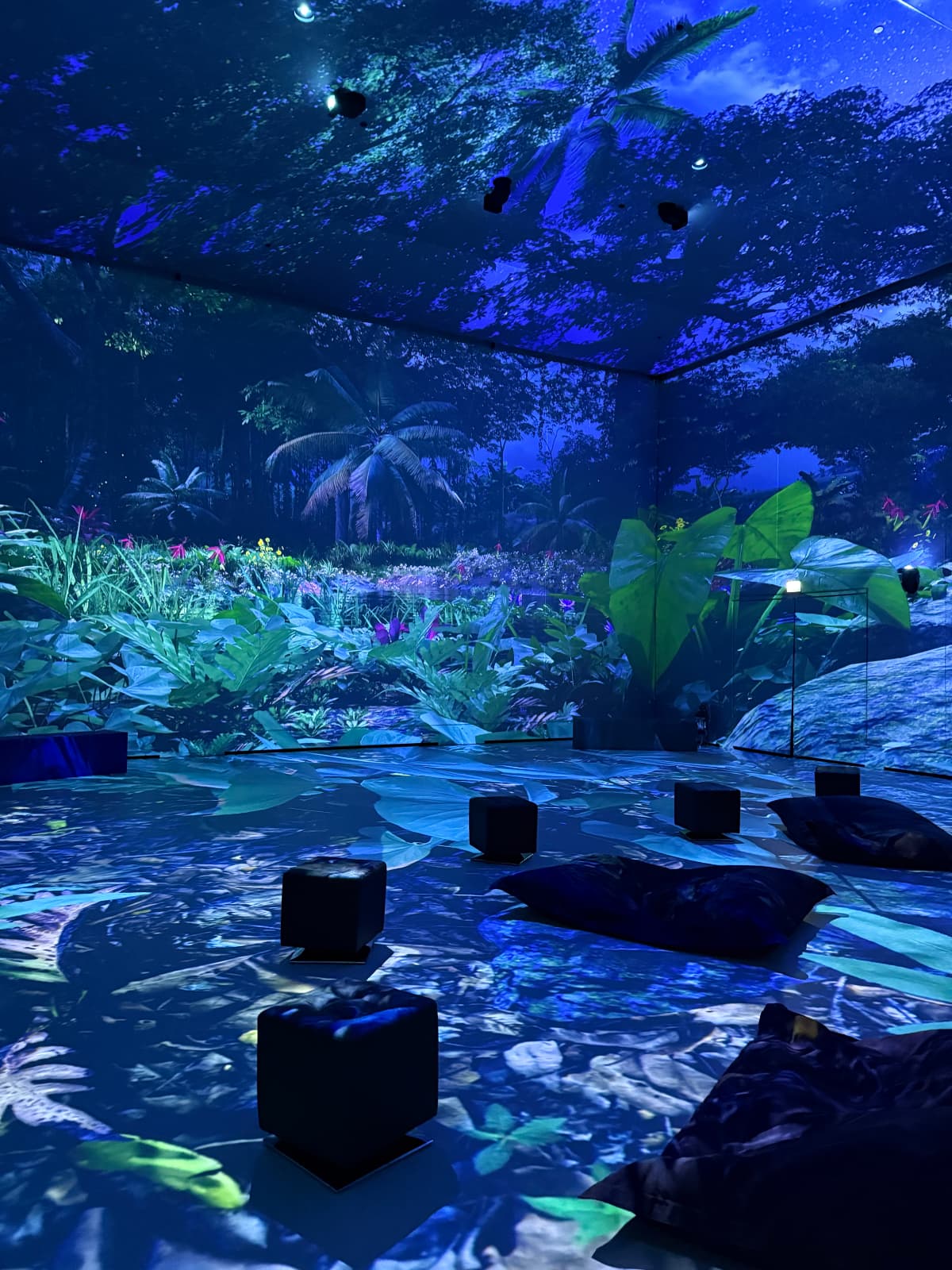 GIOLABS, musée d’art numérique immersif au Luxembourg - 5