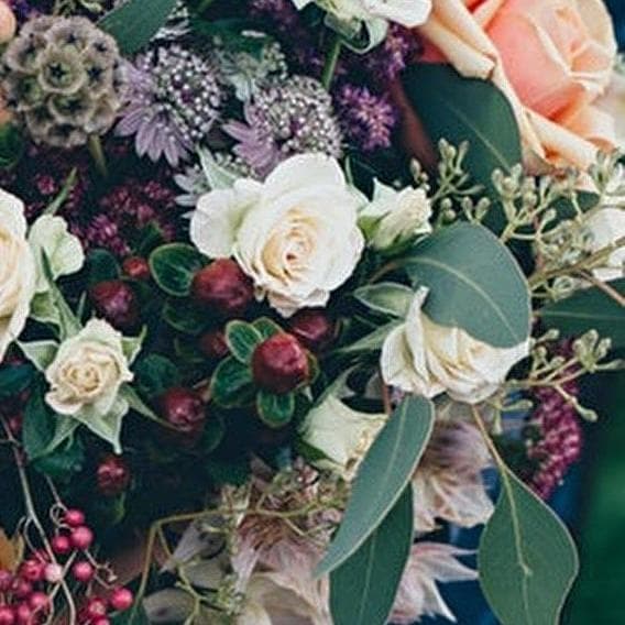 Abracadabra, que des fleurs pour moi - 1