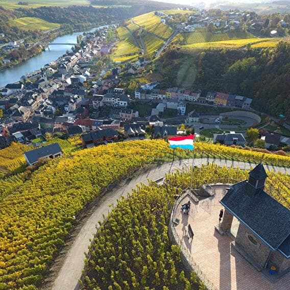 Un petit tour dans les vignes