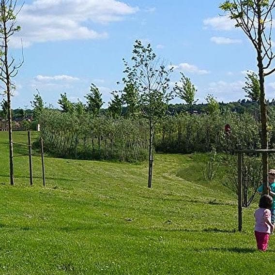 Un océan de vert