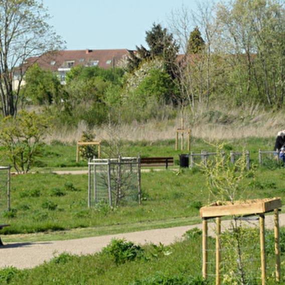 Go to the discovery of plants!